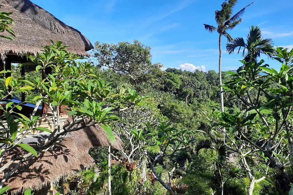 Thatched roofs and the greenery of the valley
