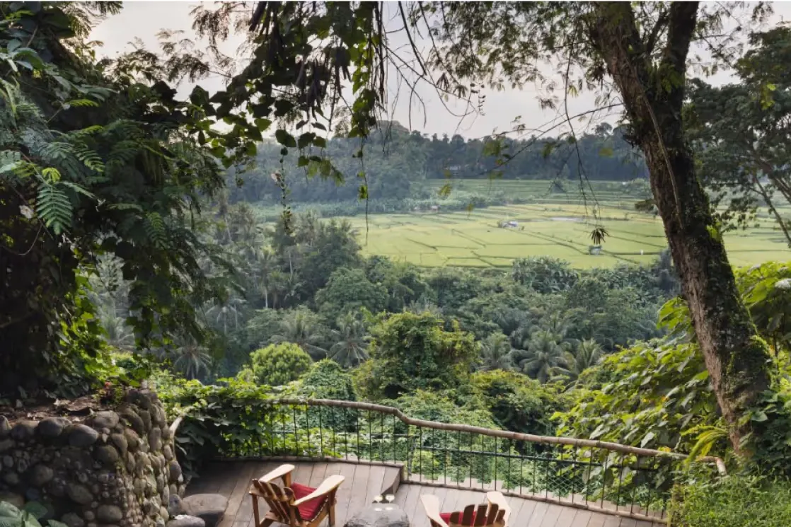The view from Pawon House over the valley