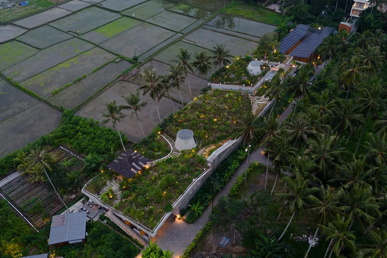 The building from above, between rice fields and coconut palms