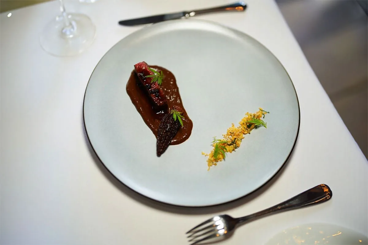 Meat glazed with sauce, plated